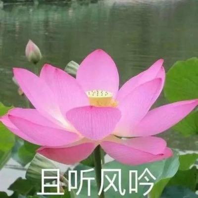 福建省政协副主席黄玲调研虹润公司